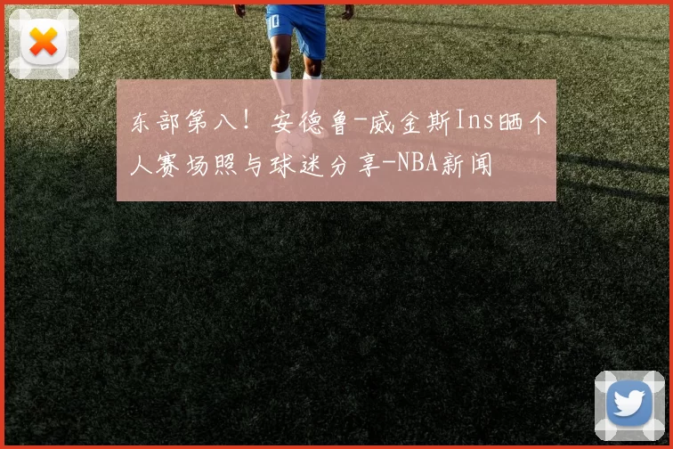 东部第八！安德鲁-威金斯Ins晒个人赛场照与球迷分享-NBA新闻