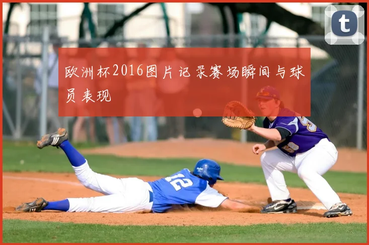 欧洲杯2016图片记录赛场瞬间与球员表现