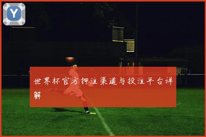 世界杯官方押注渠道与投注平台详解