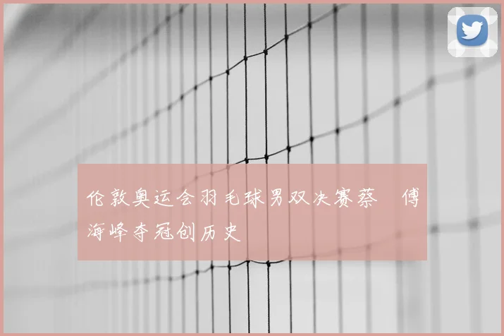 伦敦奥运会羽毛球男双决赛蔡赟傅海峰夺冠创历史