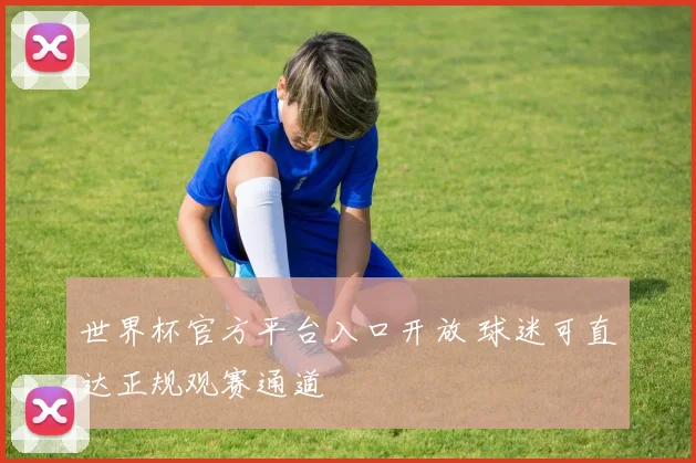 世界杯官方平台入口开放 球迷可直达正规观赛通道