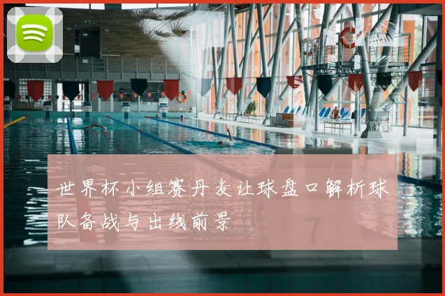 世界杯小组赛丹麦让球盘口解析球队备战与出线前景