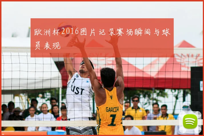 欧洲杯2016图片记录赛场瞬间与球员表现