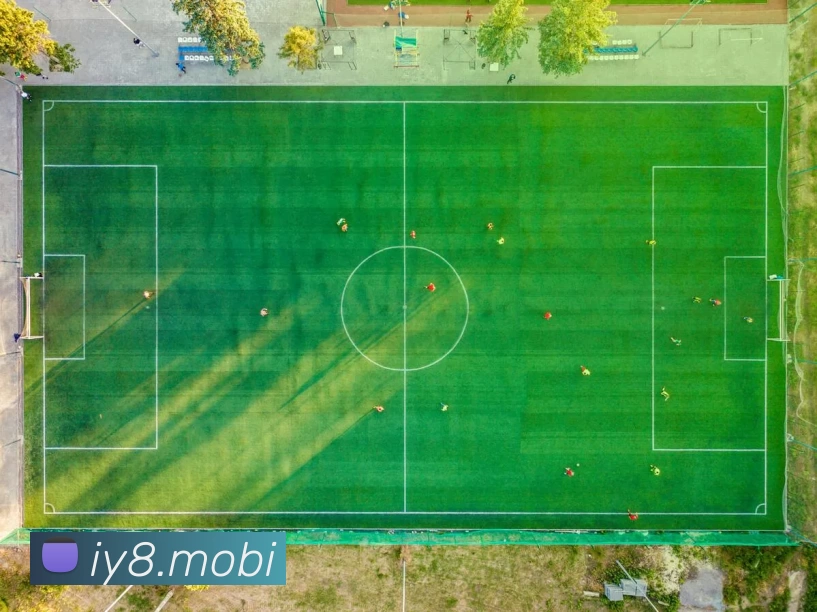 开云web站登录页面入口 - 开云(中国)发展历程